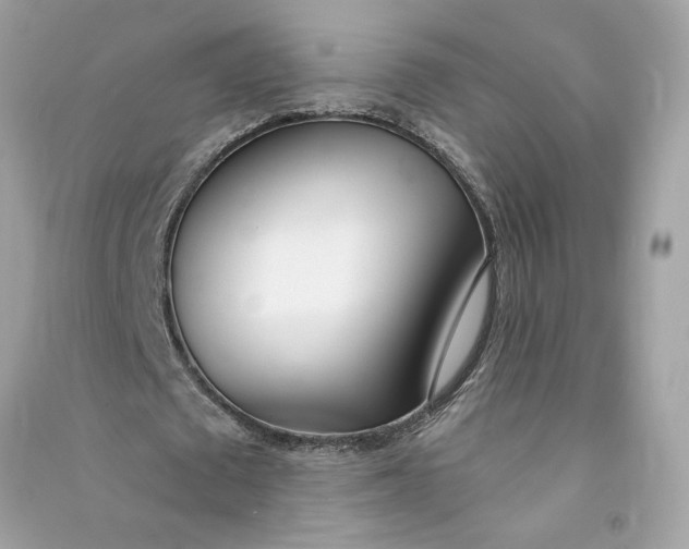 X0000090750673200708101726