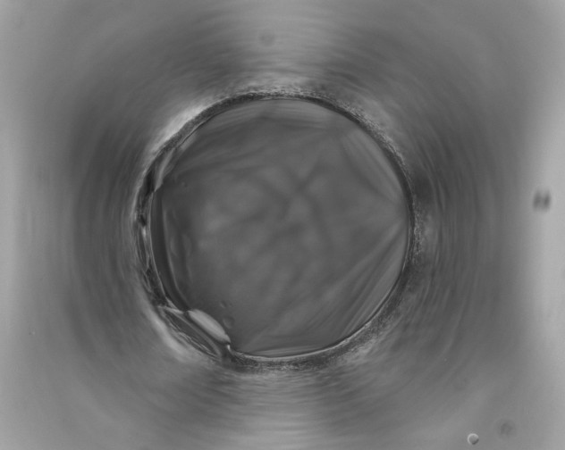 X0000090750674200708101726