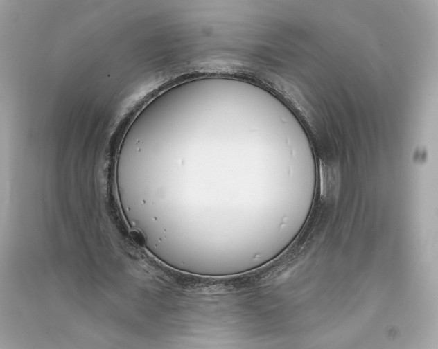 X0000090750675200708101726