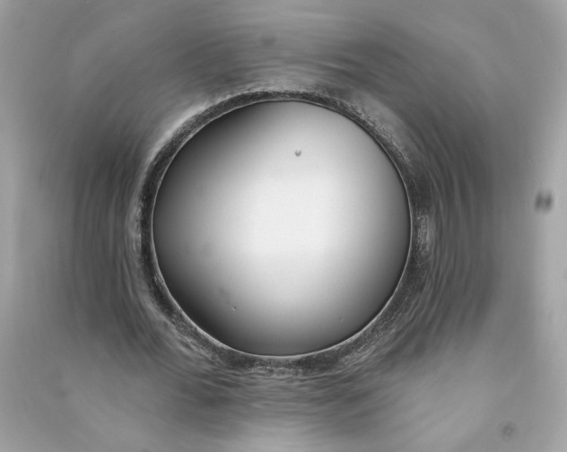 X0000090750676200708101726