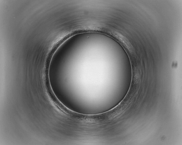 X0000090750677200708101726
