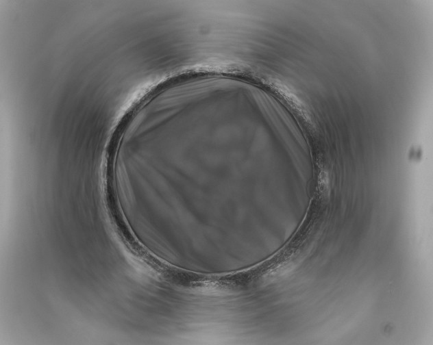 X0000090750678200708101725