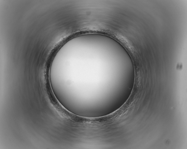 X0000090750680200708101725