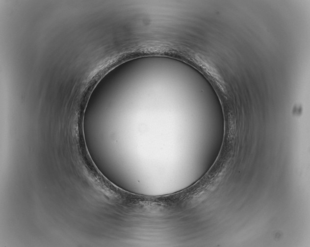X0000090750681200708101725
