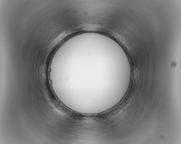 X0000090750682200708101725