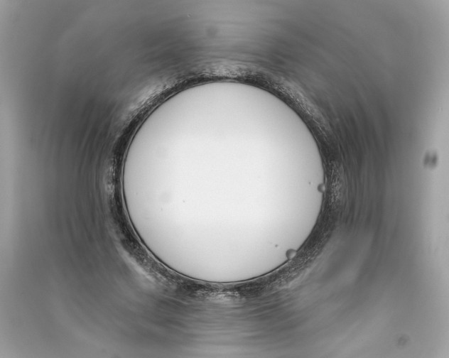 X0000090750683200708101725