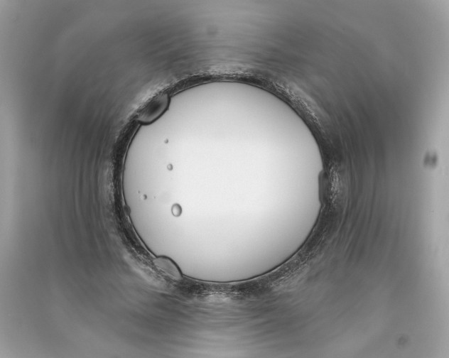 X0000090750684200708101725