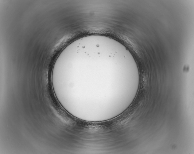 X0000090750686200708101725