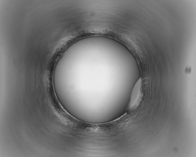 X0000090750688200708101725