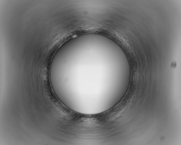 X0000090750689200708101725