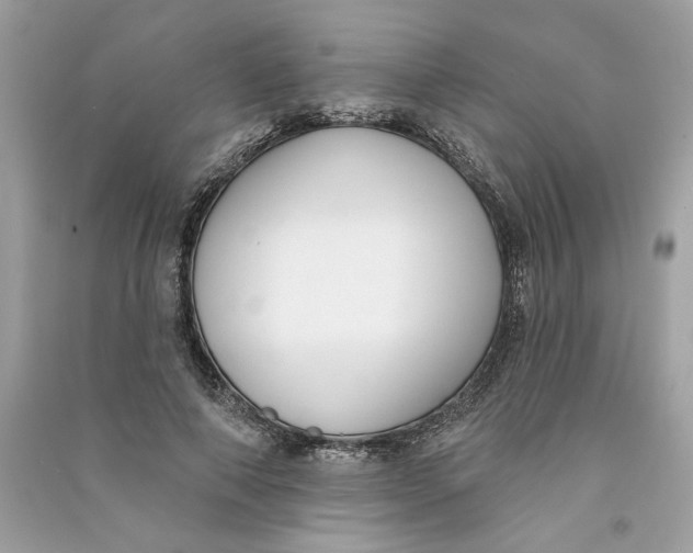 X0000090750690200708101725