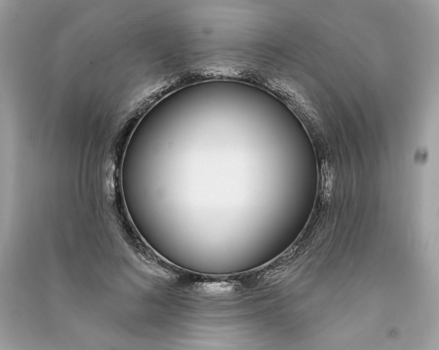 X0000090750692200708101725