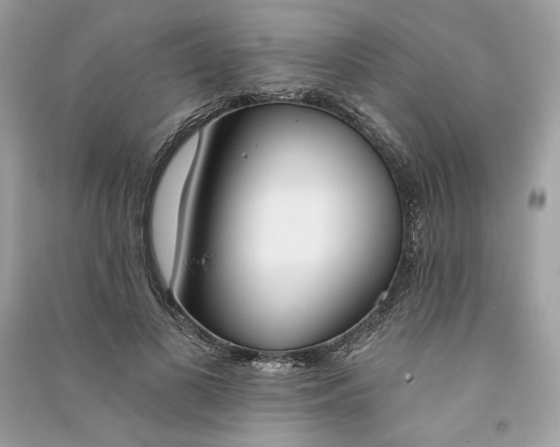 X0000090750693200708101725