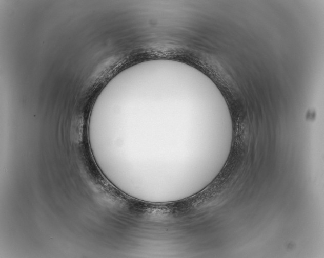 X0000090750694200708101725