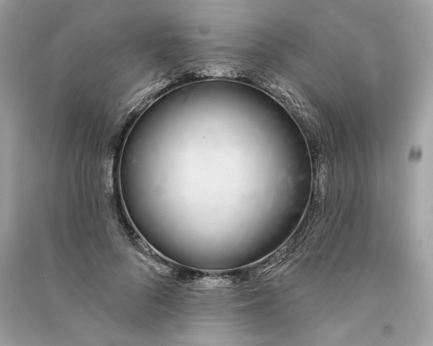 X0000090750696200708101725