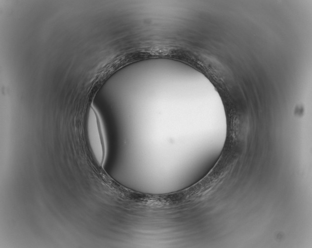 X0000090750697200708101725
