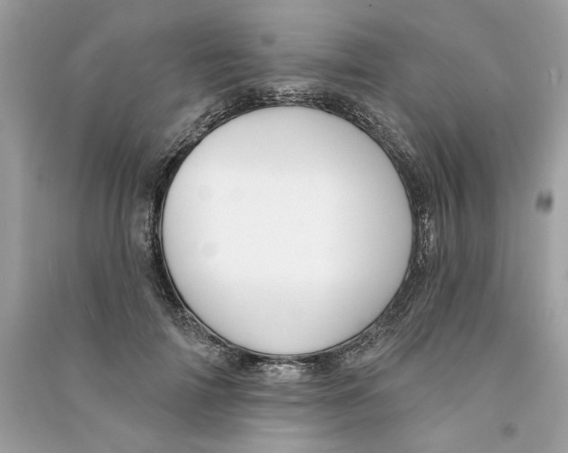 X0000090750698200708101725