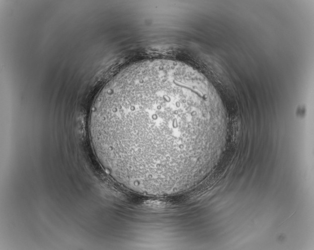 X0000090750699200708101725
