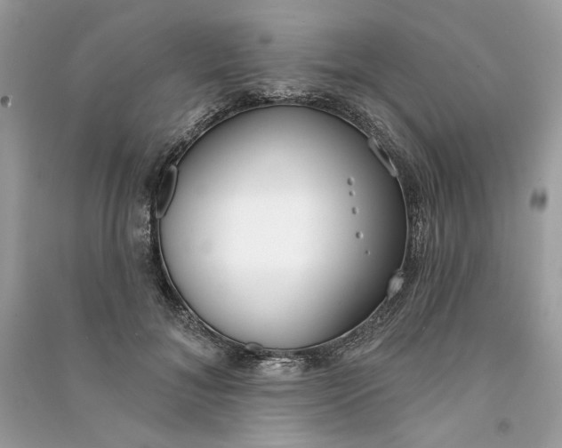 X0000090750700200708101725