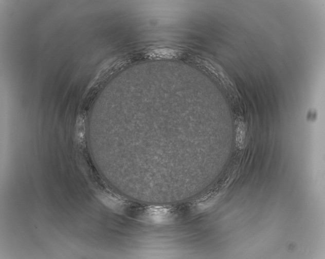 X0000090750701200708101725