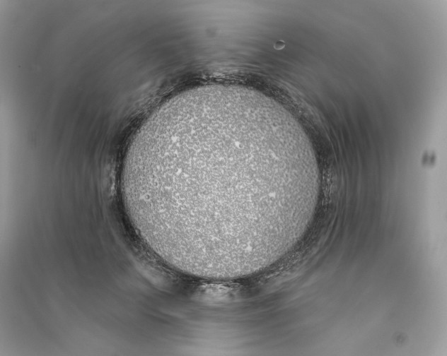 X0000090750703200708101725