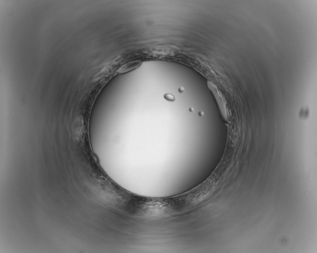 X0000090750704200708101725