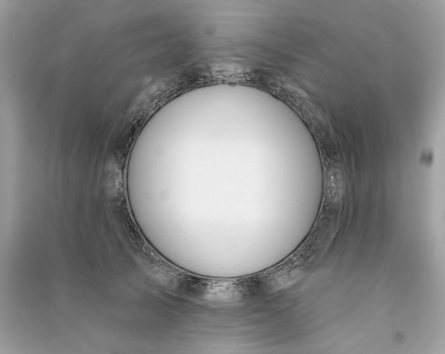 X0000090750705200708101725