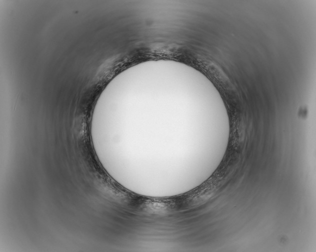X0000090750706200708101725
