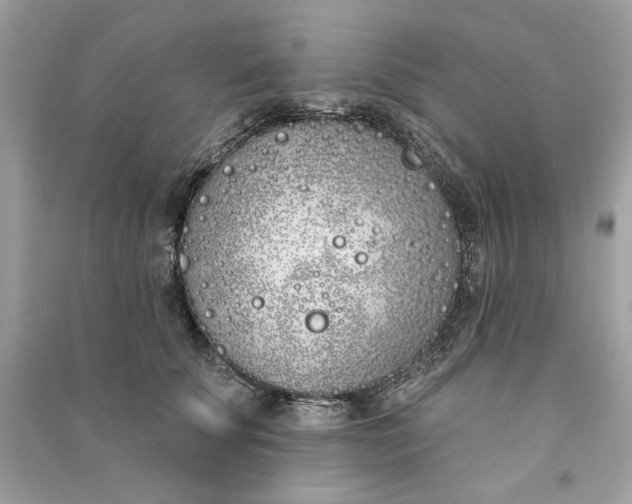 X0000090750707200708101725