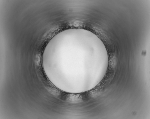X0000090750709200708101725