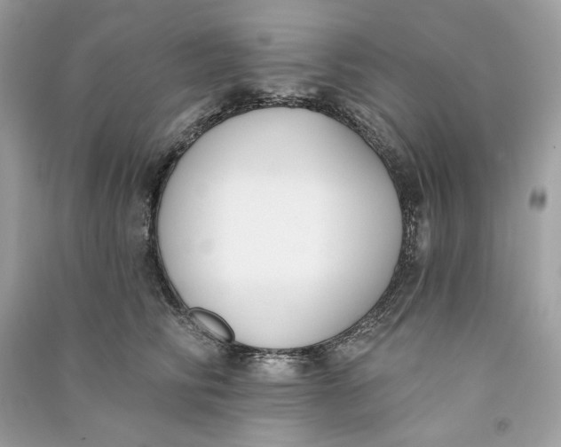 X0000090750710200708101725