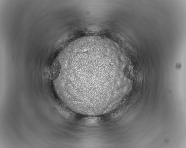 X0000090750711200708101725