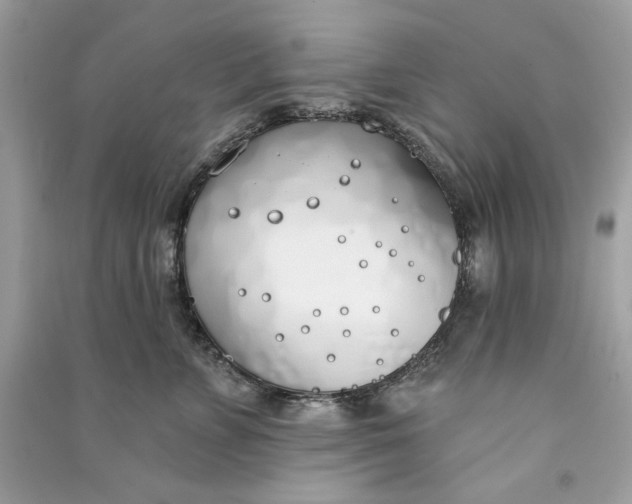 X0000090750715200708101725
