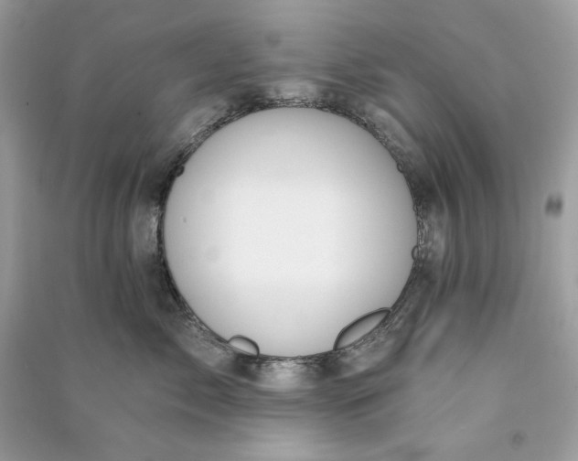 X0000090750717200708101725