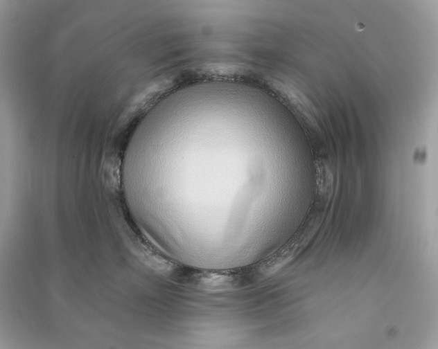 X0000090750718200708101725