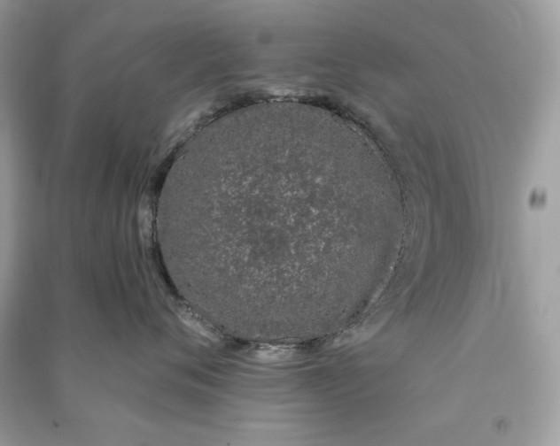 X0000090750720200708101725