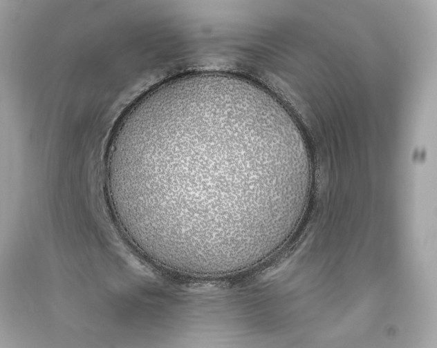 X0000090750721200708101724