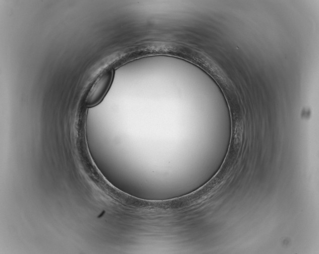 X0000090750722200708101724