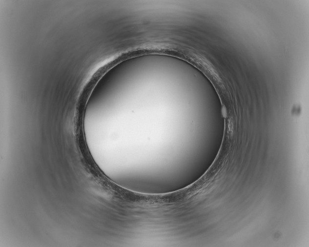 X0000090750724200708101724