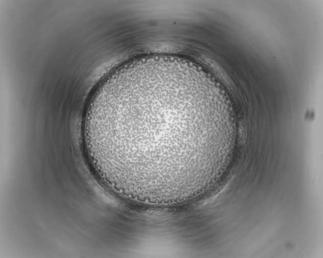 X0000090750725200708101724