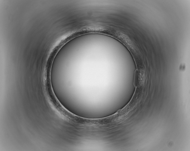 X0000090750726200708101724