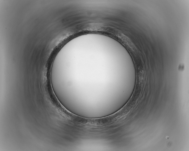 X0000090750727200708101724