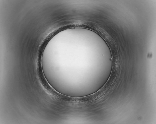 X0000090750728200708101724