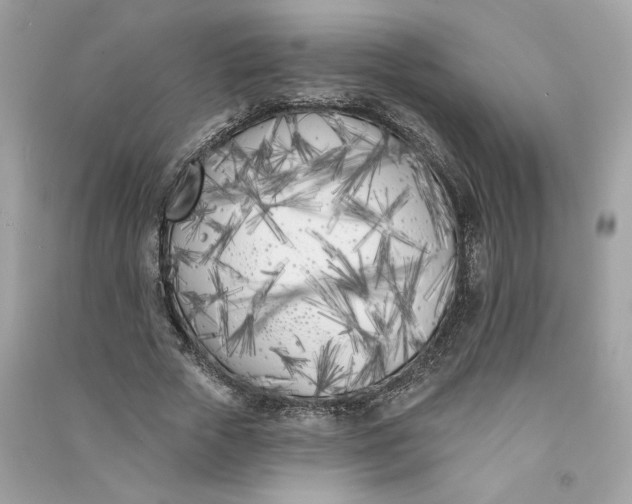 X0000090750729200708101724