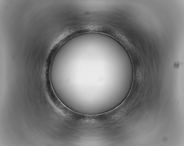 X0000090750730200708101724