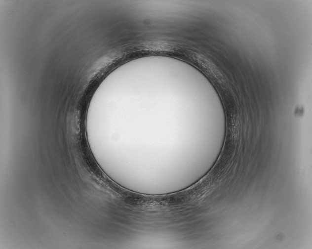 X0000090750731200708101724