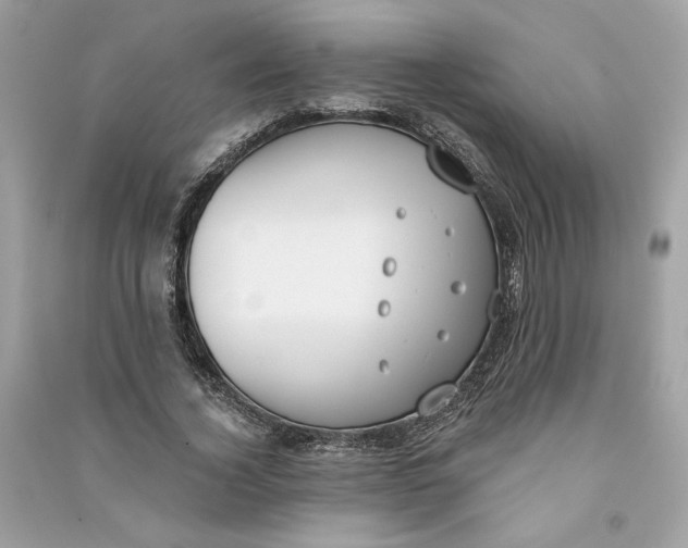 X0000090750732200708101724