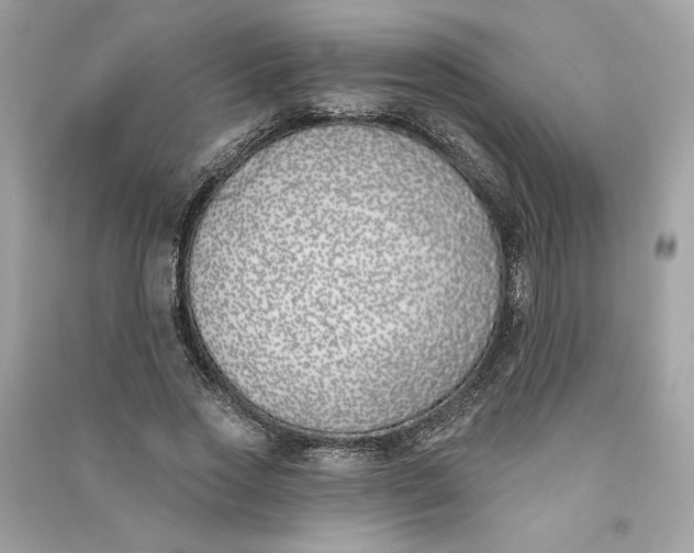 X0000090750733200708101724