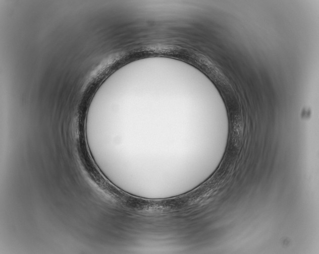 X0000090750734200708101724