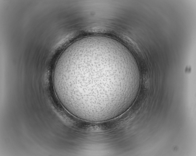 X0000090750735200708101724